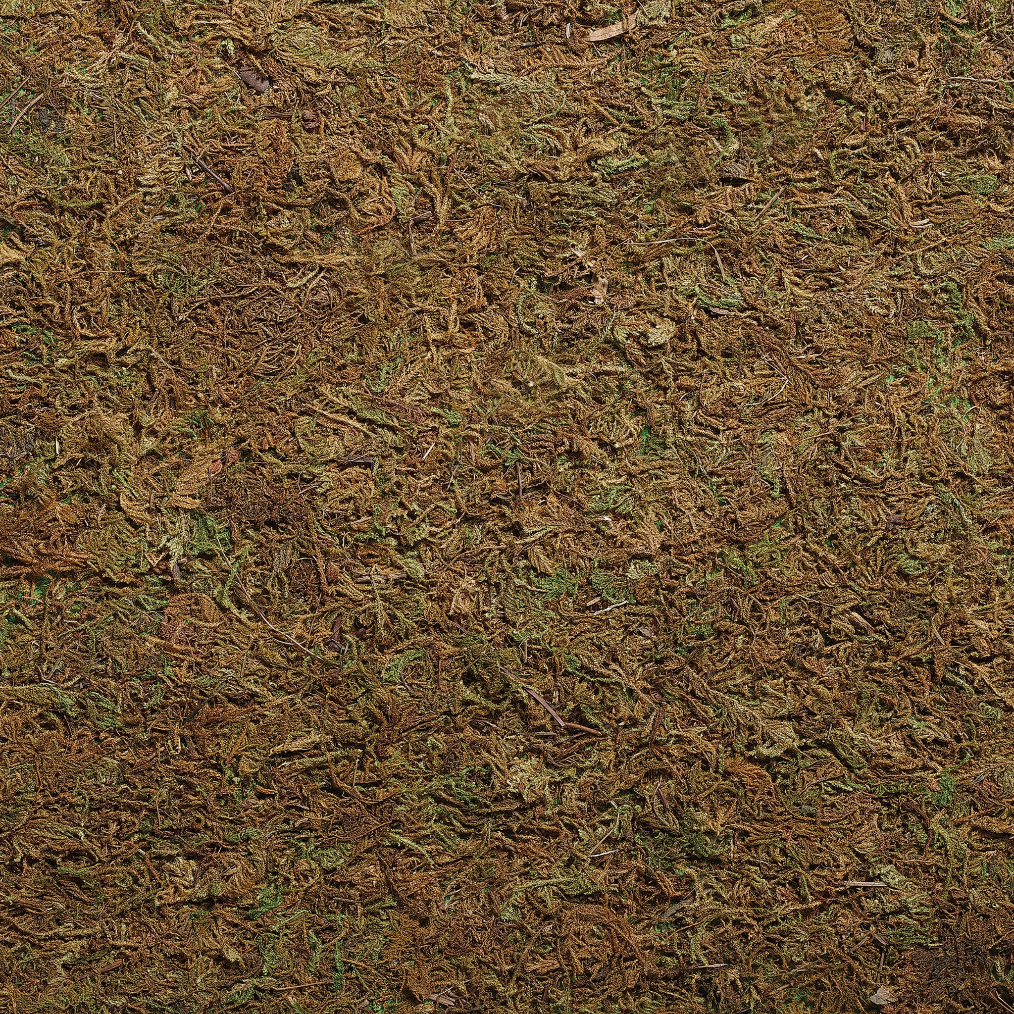 Fontanini Natural Moss Landscape – 5" Scale