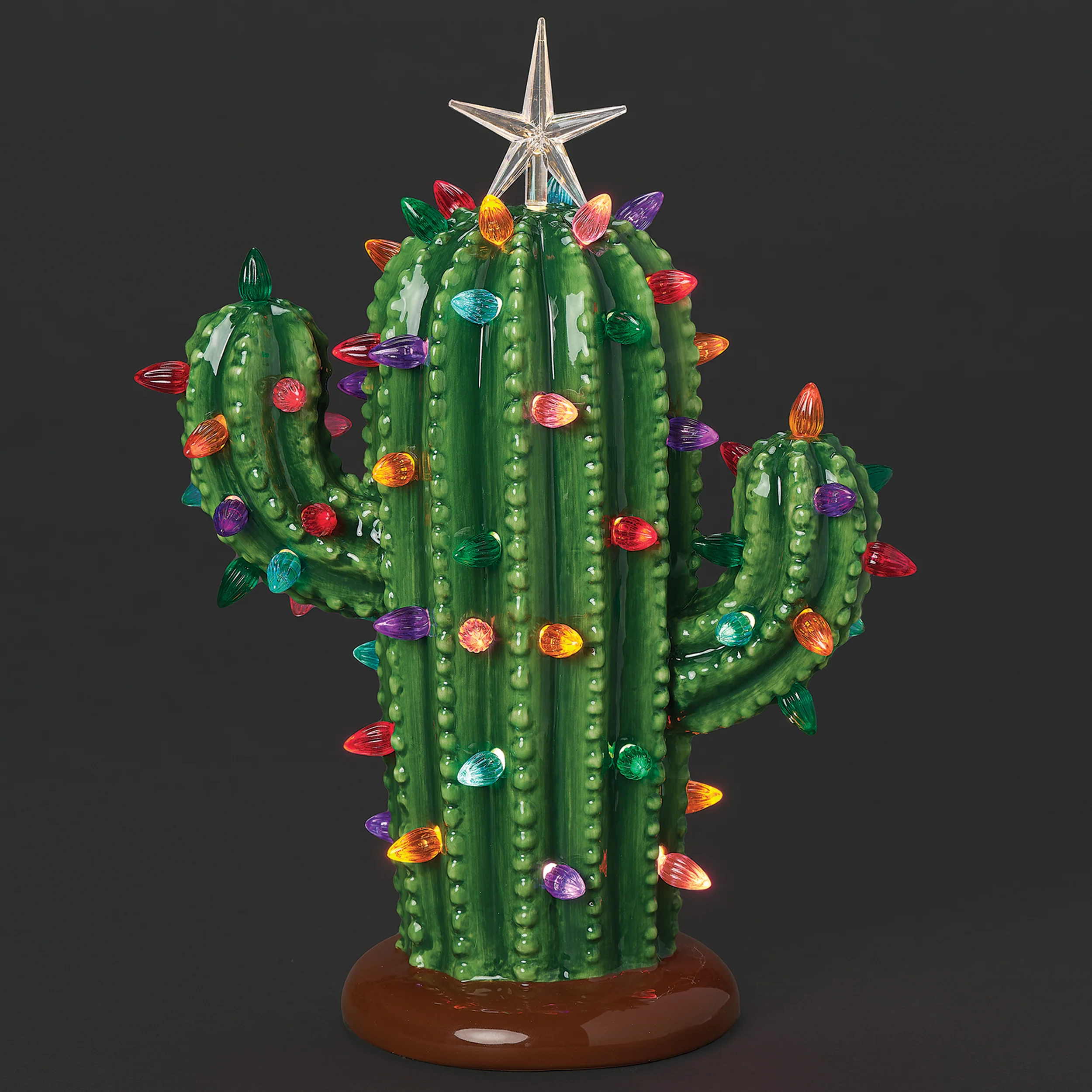 Lighted Ceramic Cactus